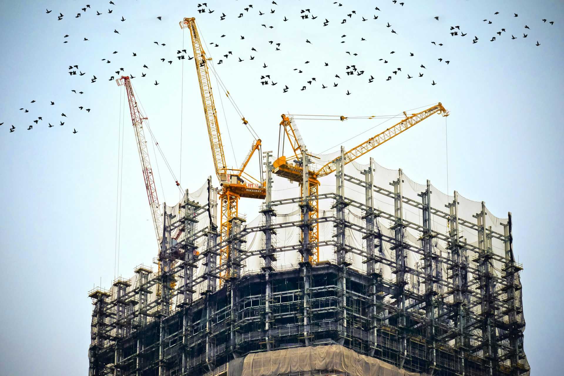 Fotografía de ángulo bajo de grúas en la parte superior del edificio.